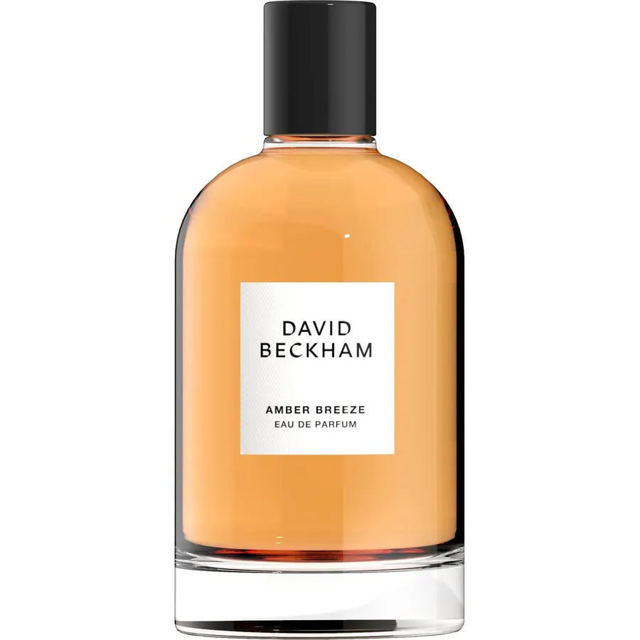 Amber Breeze Eau de Parfum, Men's Fragrance, 3.3 fl oz