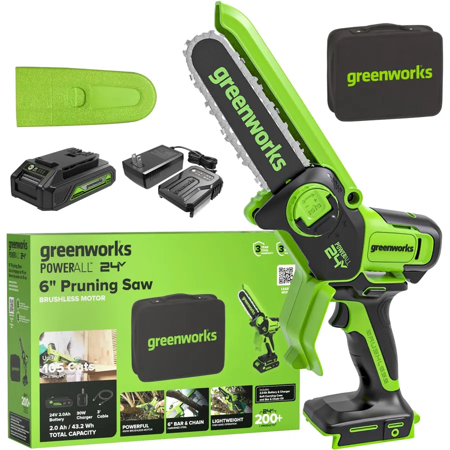 Greenworks 24V 6in Mini Chainsaw, 2.0 Ah Battery and Charger