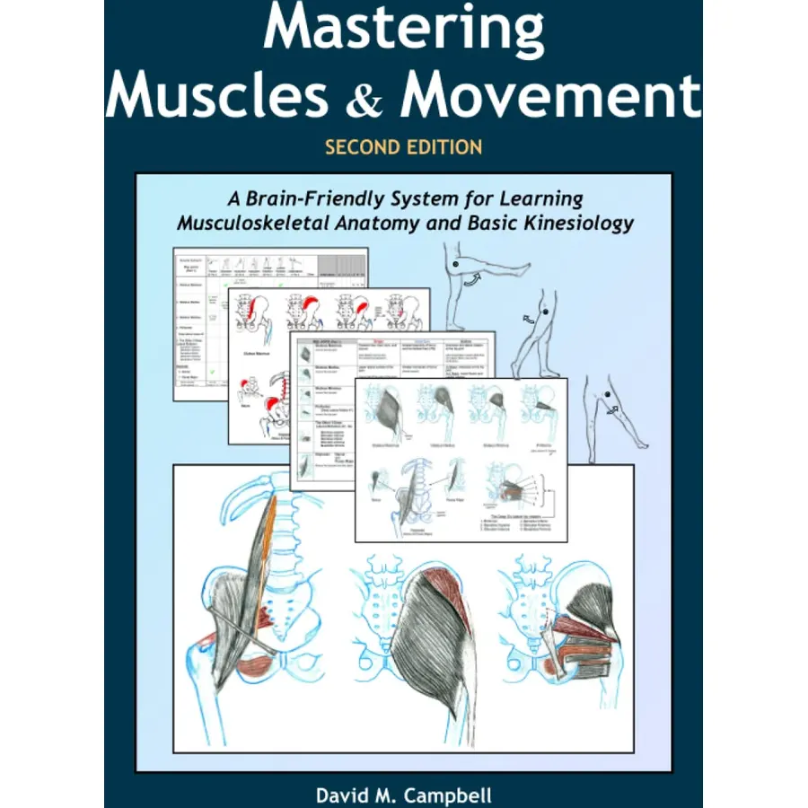 Mastering Muscles and Movement: A Brain-Friendly System for Learning Musculoskeletal Anatomy and Basic Kinesiology
